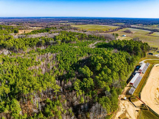 $149,000 | 0 Rimmer Road, Trezevant, TN 38258