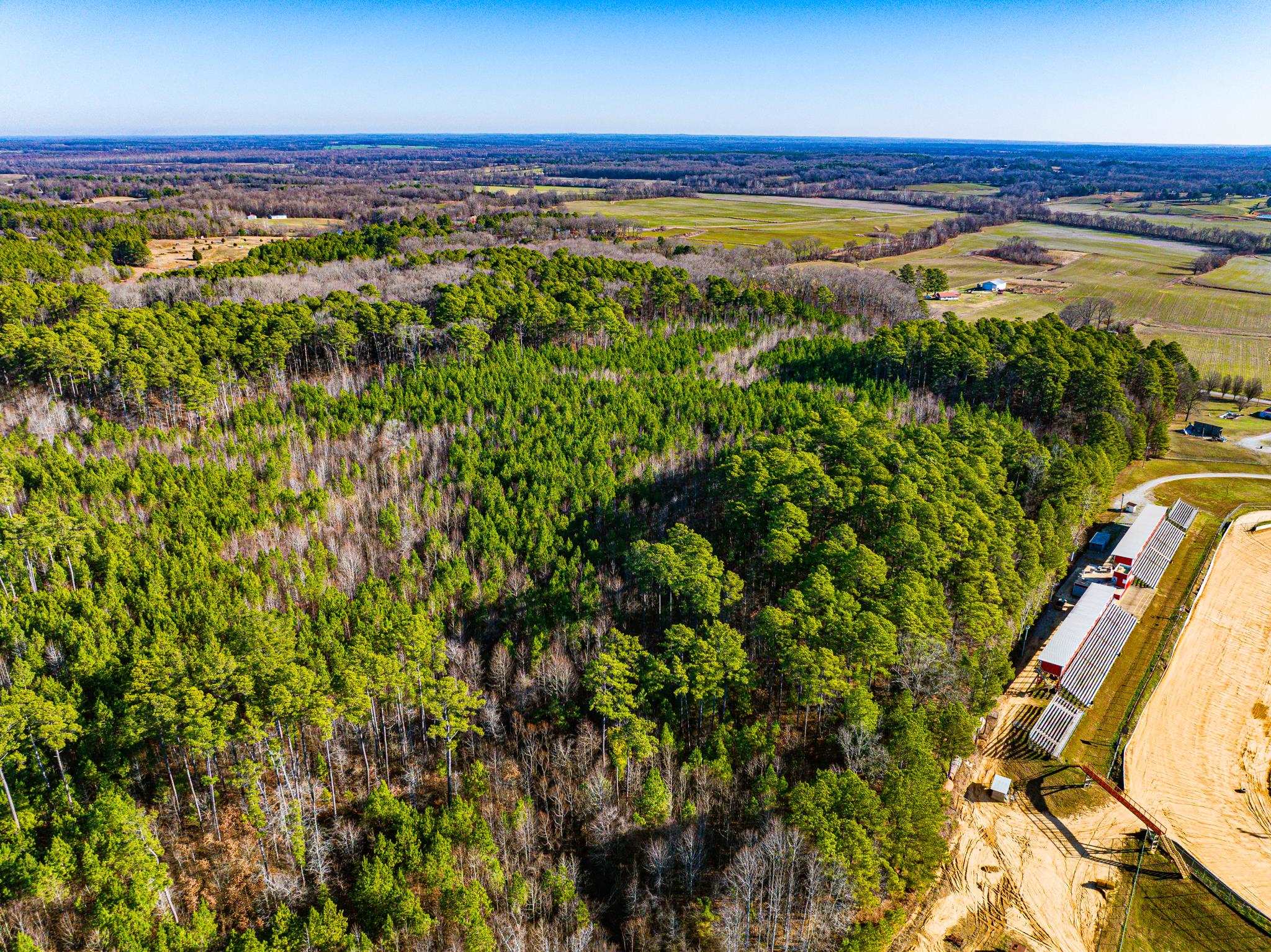 0 Rimmer Road Trezevant, TN 38258 - Photo 8 of 21 Aerial view