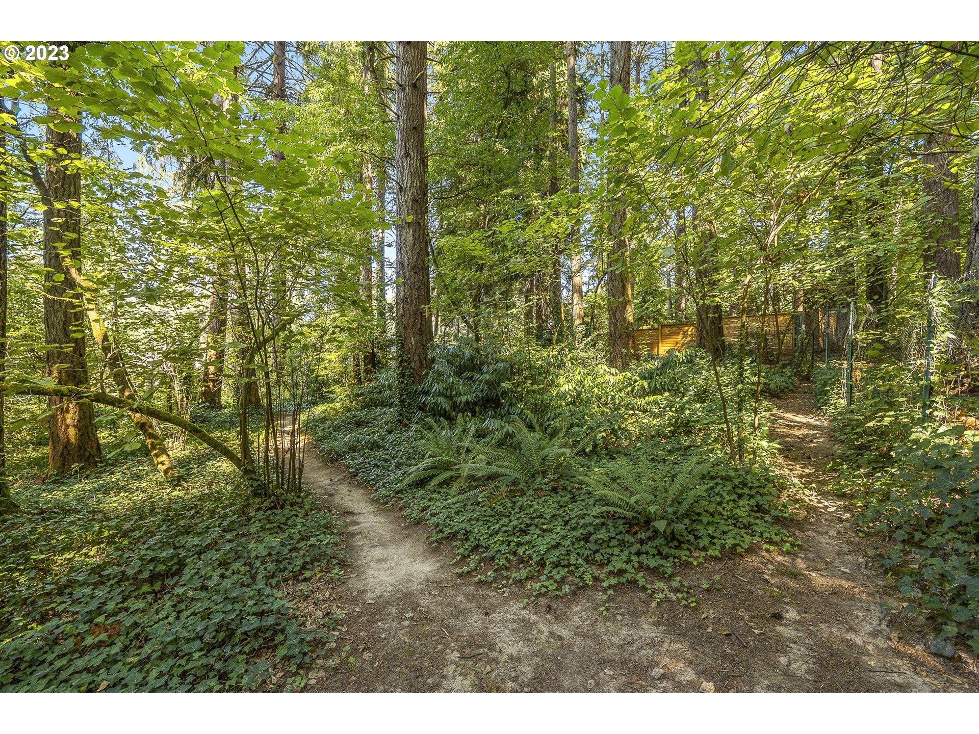 14090 Southwest Hargis Road Beaverton, OR 97008 - Photo 31 of 36 Backyard