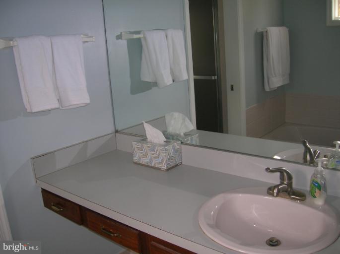 3828 Prospect Road Street, MD 21154 - Photo 10 of 30 Bath (Master)