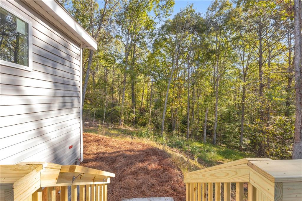 946 Essic Road Ball Ground, GA 30107 - Photo 36 of 45 a view of backyard of a house