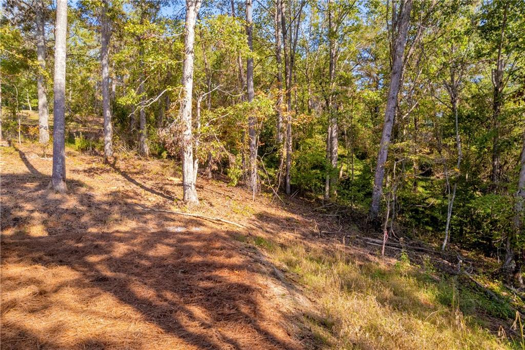 946 Essic Road Ball Ground, GA 30107 - Photo 42 of 45 a view of under construction area