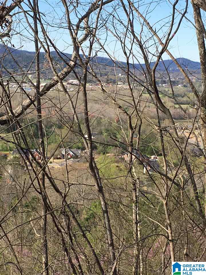 230 County Line Road Oxford, AL 36203 - Photo 3 of 50