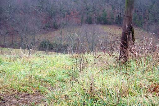 0 Taft Highway Dry Ridge, KY 40359 - Photo 10 of 20