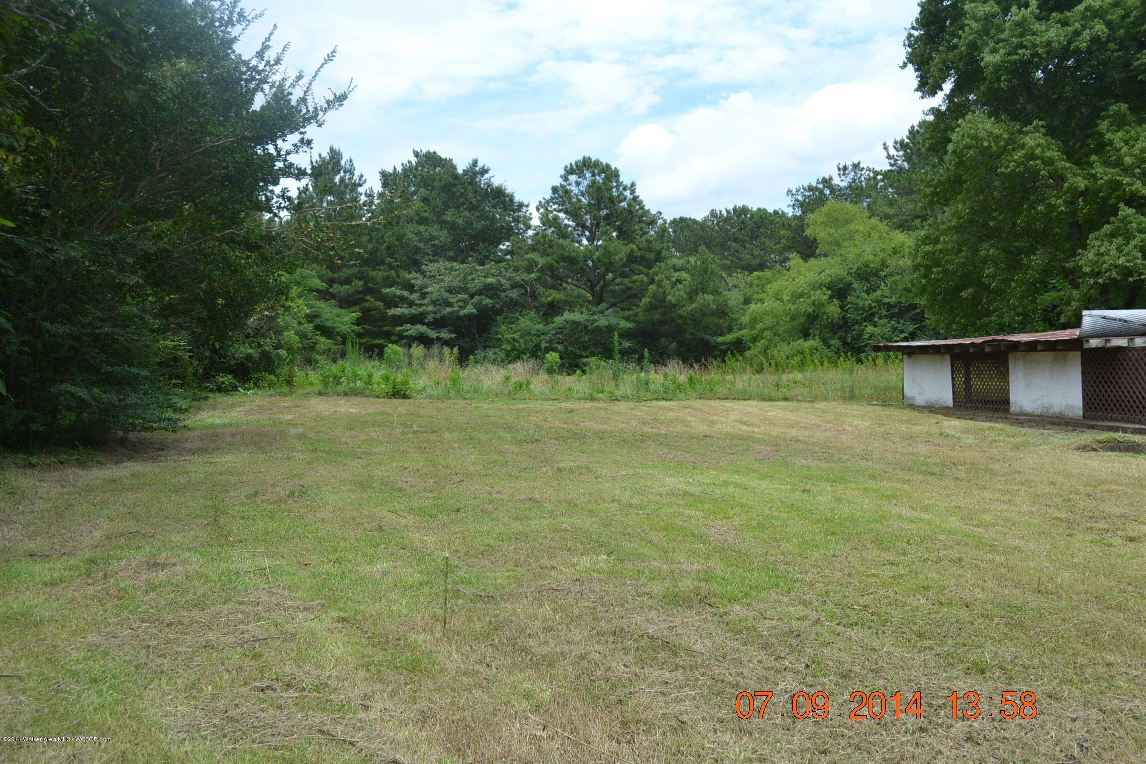 1096 Harrison Shipman Road Jasper, AL 35503 - Photo 5 of 50 Gallery Image 5