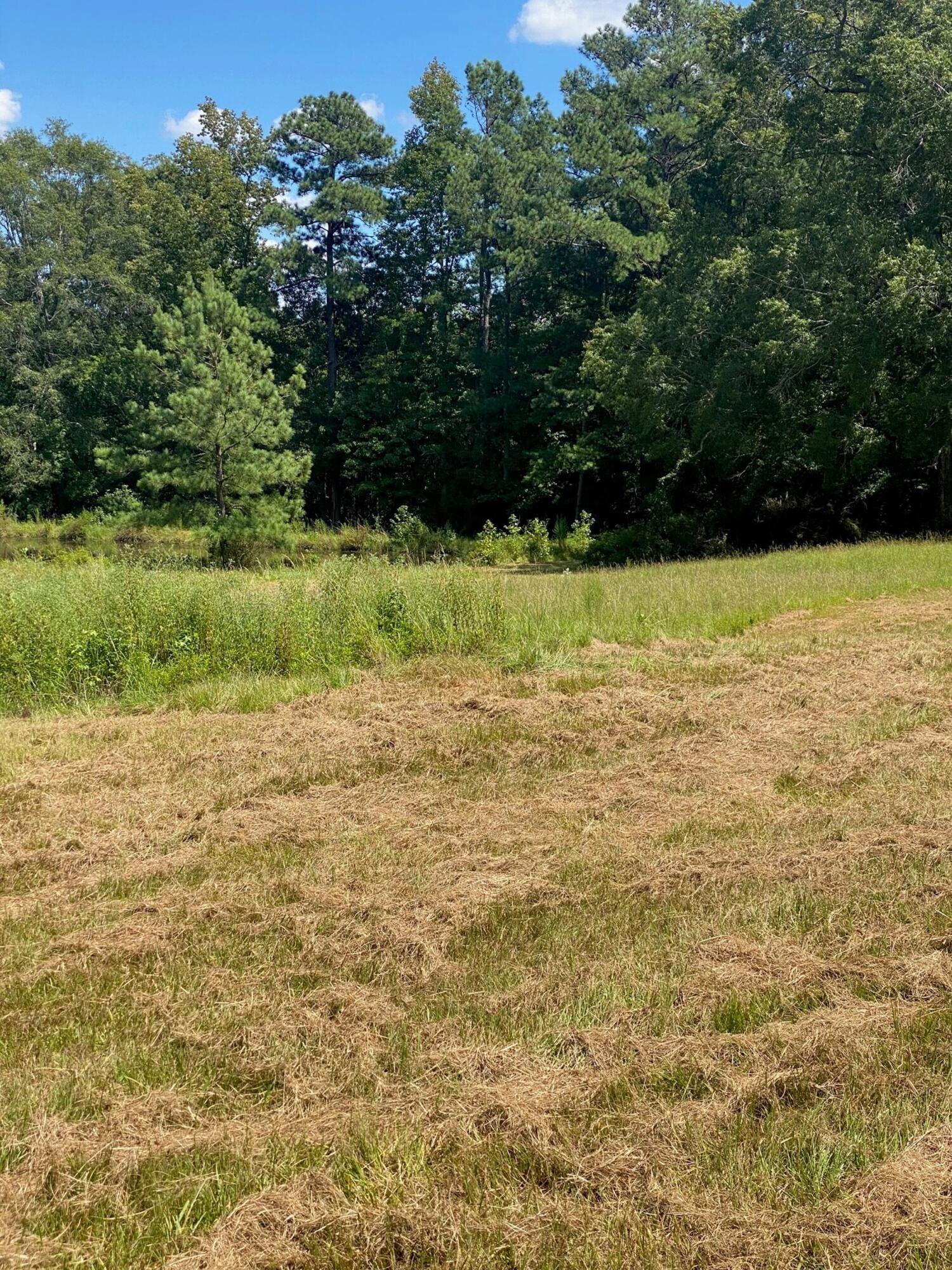 2839 Sellars Road Appling, GA 30802 - Photo 2 of 3 pic 4