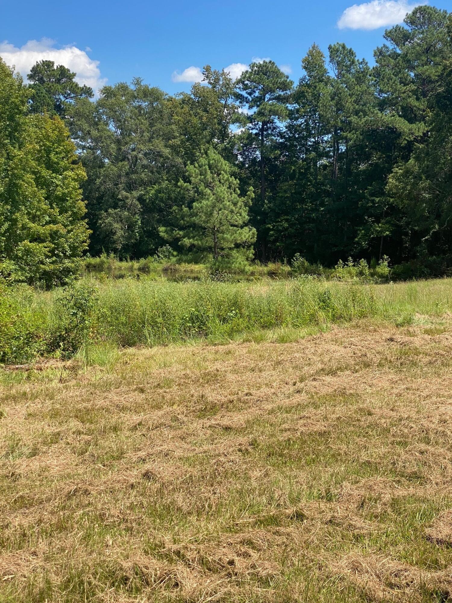 2839 Sellars Road Appling, GA 30802 - Photo 3 of 3 pic 6