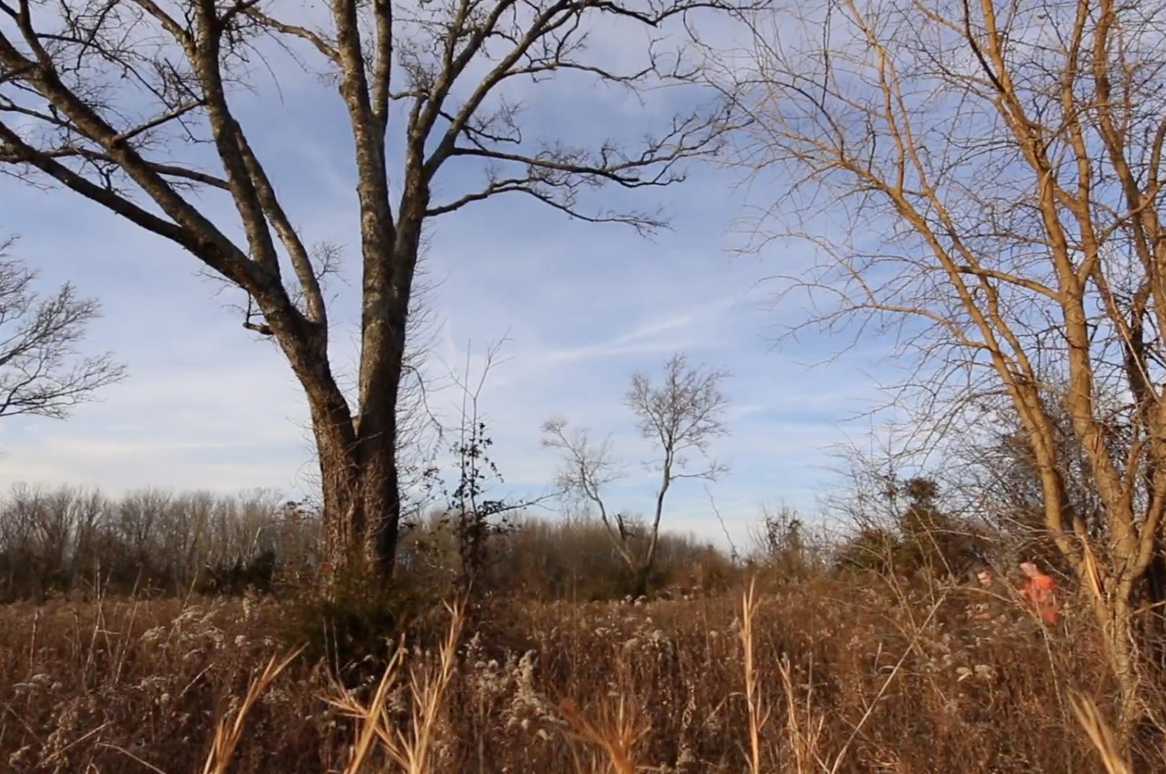 9 Edwards Road Lebanon, TN 37090 - Photo 17 of 22