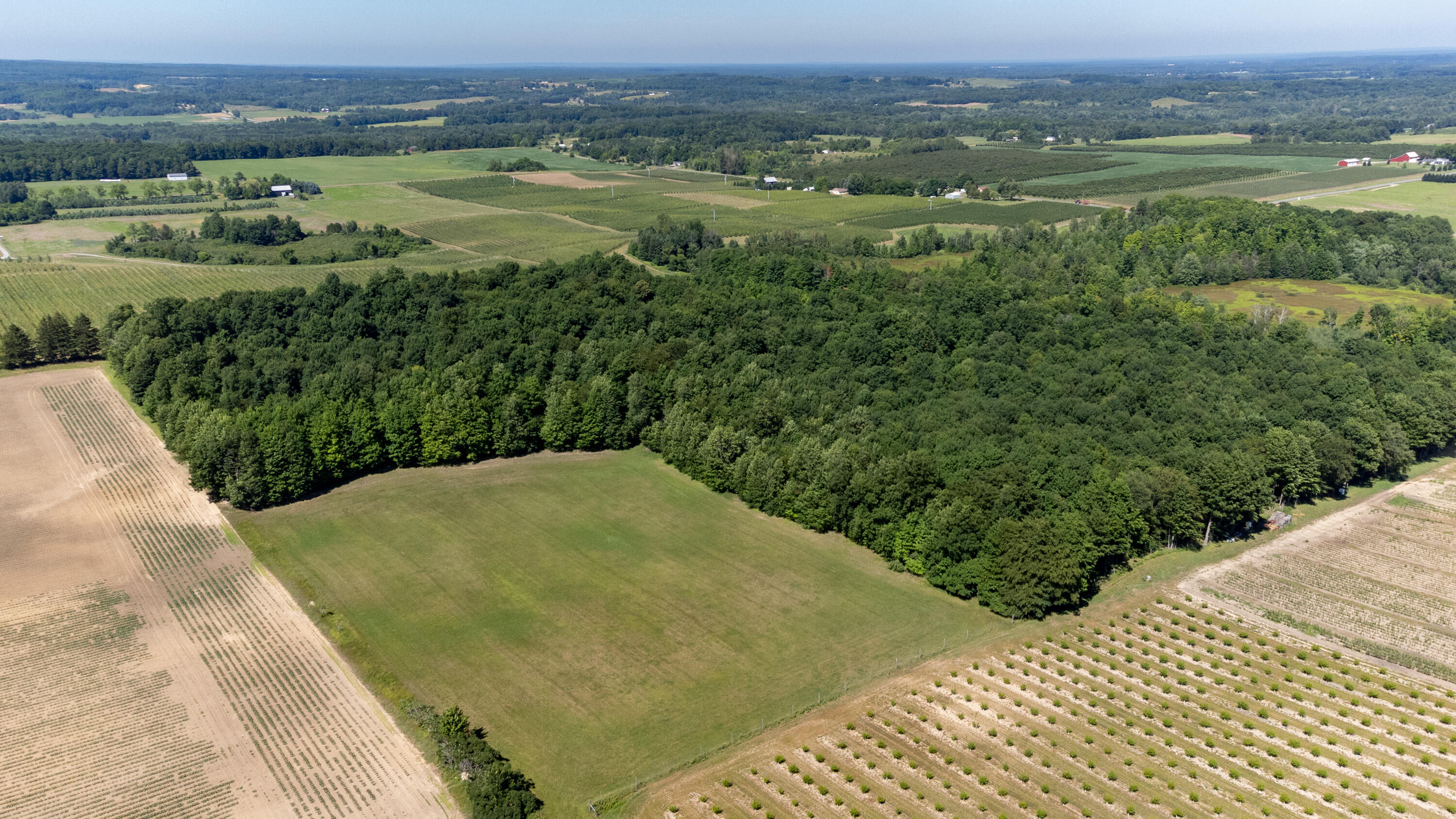 Vl East Taylor Road Hart, MI 49420 - Photo 11 of 11 White Woods-2