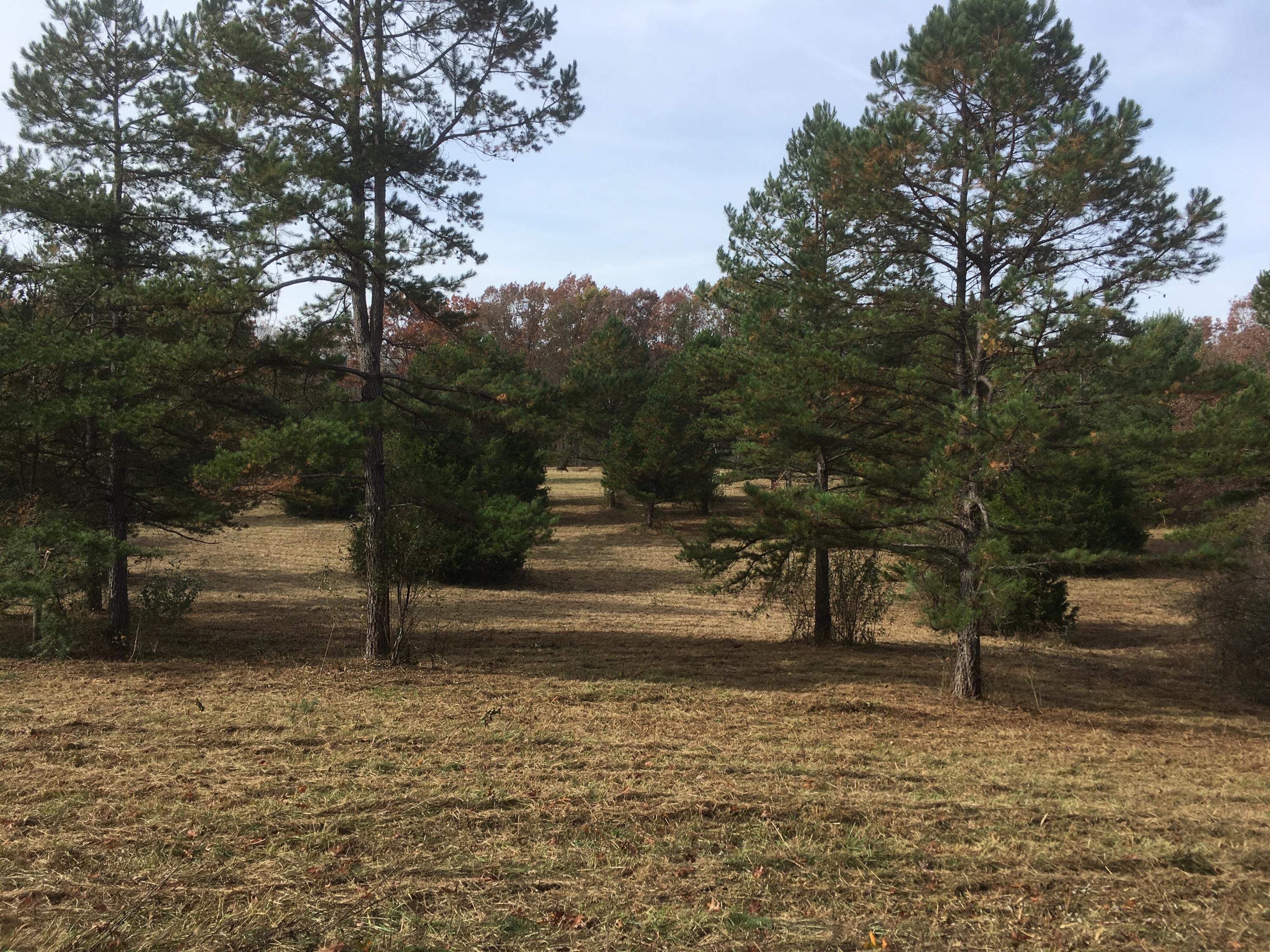 Walter Thomas Lane Oneida, TN 37841 - Photo 2 of 26 IMG_4096