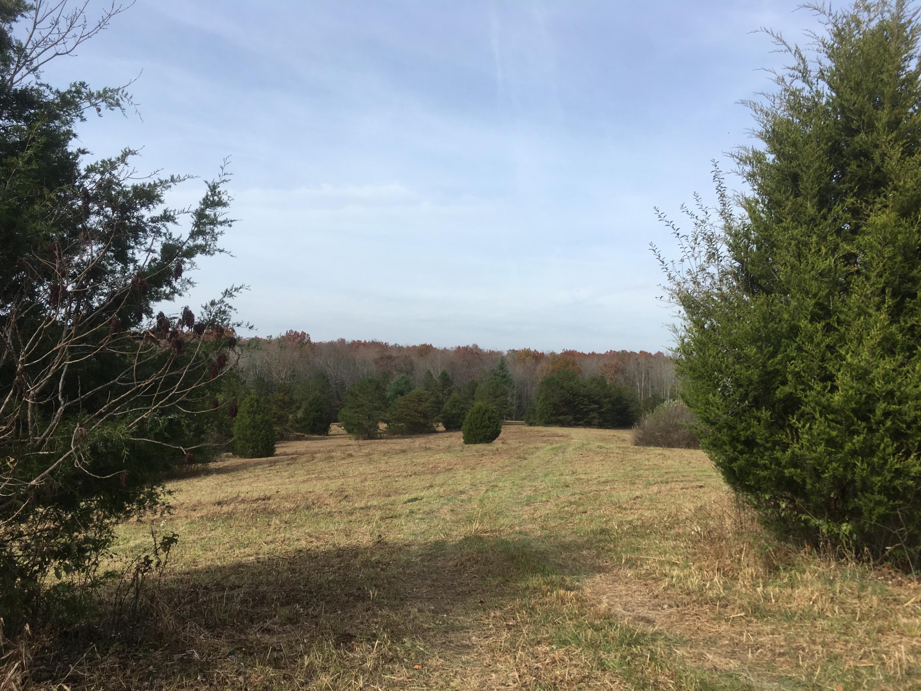Walter Thomas Lane Oneida, TN 37841 - Photo 13 of 26 IMG_4108