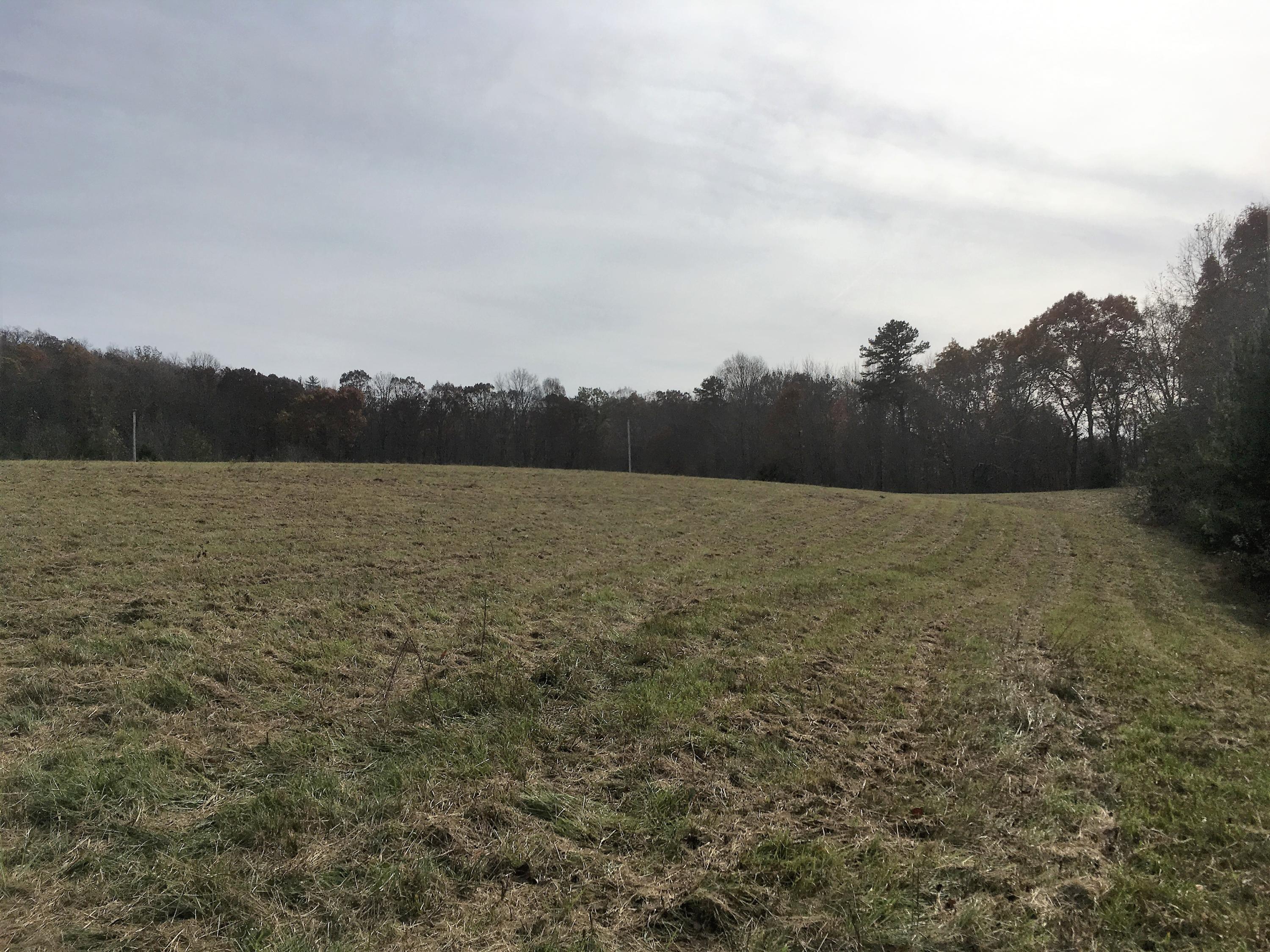 Walter Thomas Lane Oneida, TN 37841 - Photo 14 of 26 IMG_4109