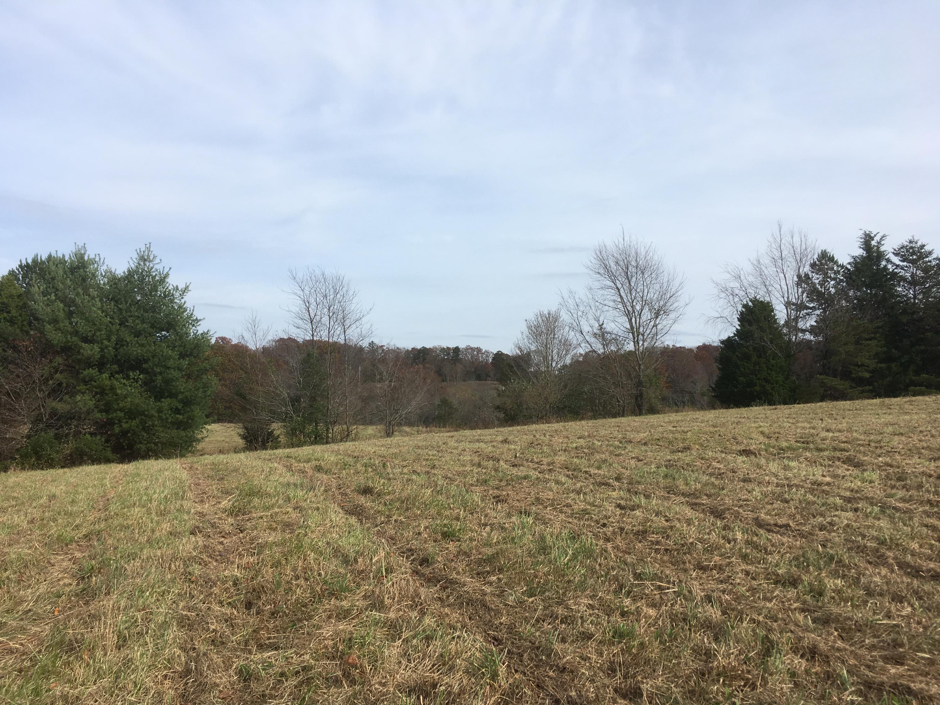 Walter Thomas Lane Oneida, TN 37841 - Photo 15 of 26 IMG_4110
