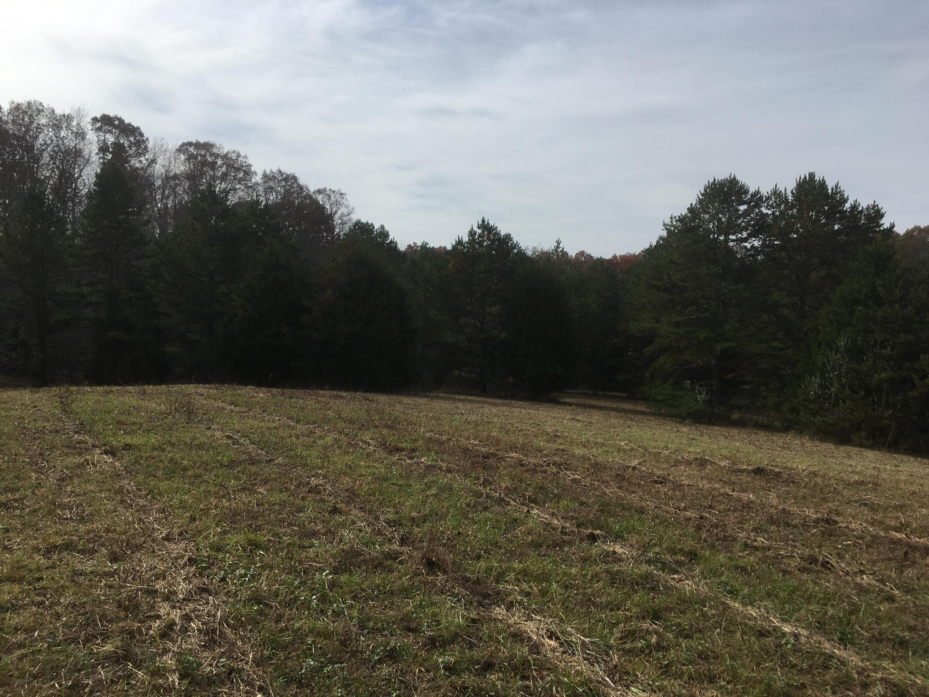 Walter Thomas Lane Oneida, TN 37841 - Photo 17 of 26 IMG_4112