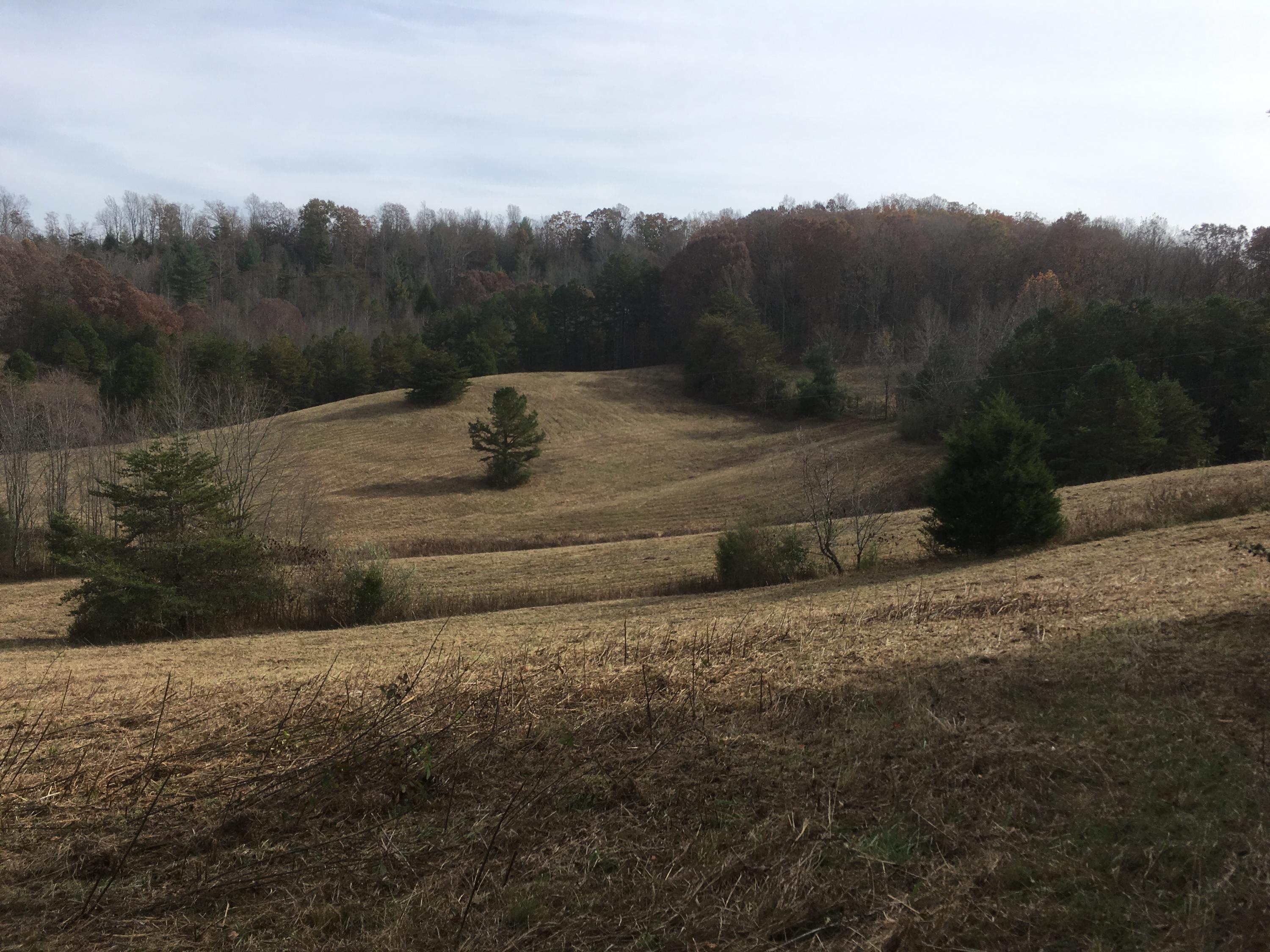 Walter Thomas Lane Oneida, TN 37841 - Photo 18 of 26 IMG_4115