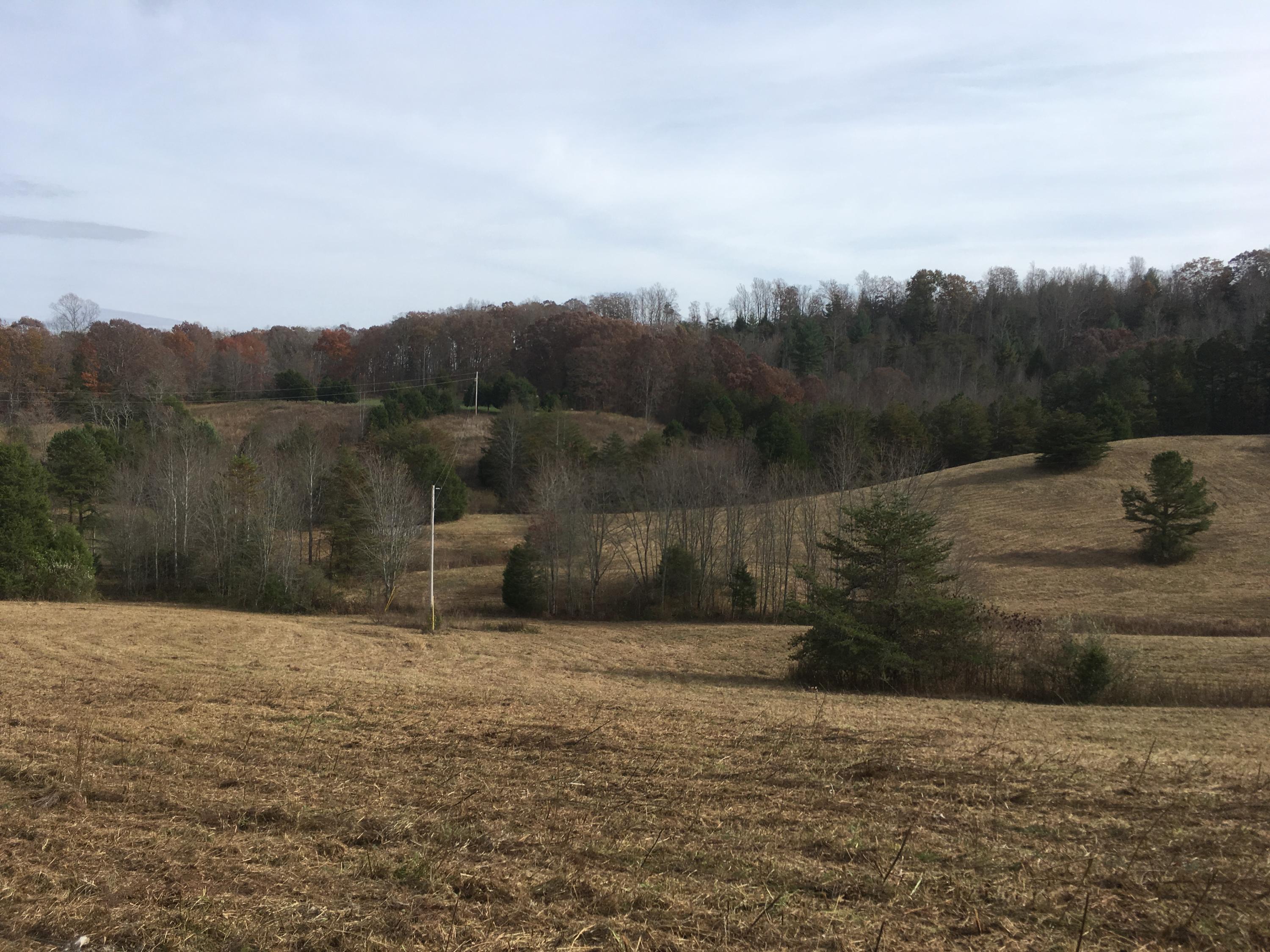 Walter Thomas Lane Oneida, TN 37841 - Photo 19 of 26 IMG_4116