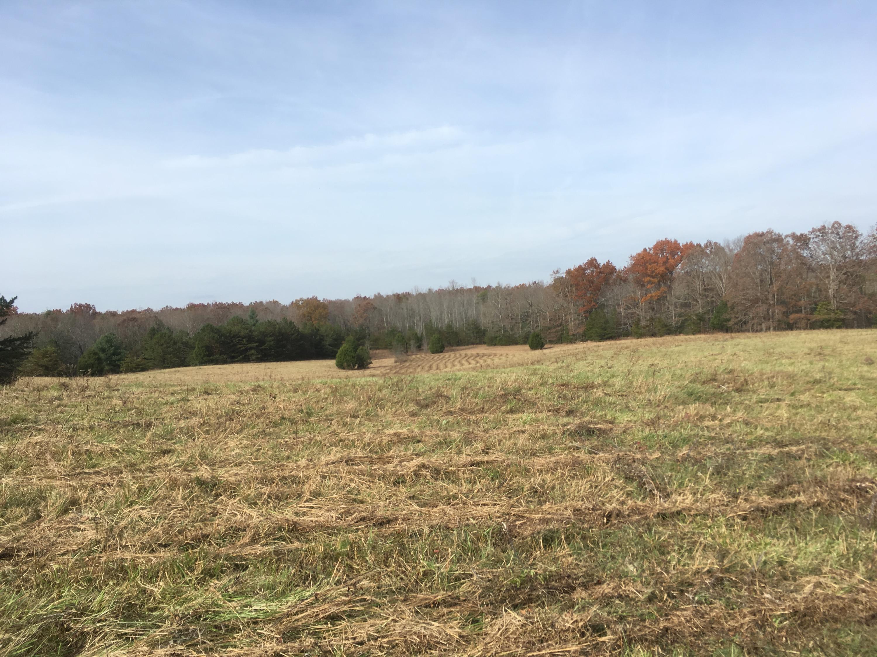 Walter Thomas Lane Oneida, TN 37841 - Photo 20 of 26 IMG_4117