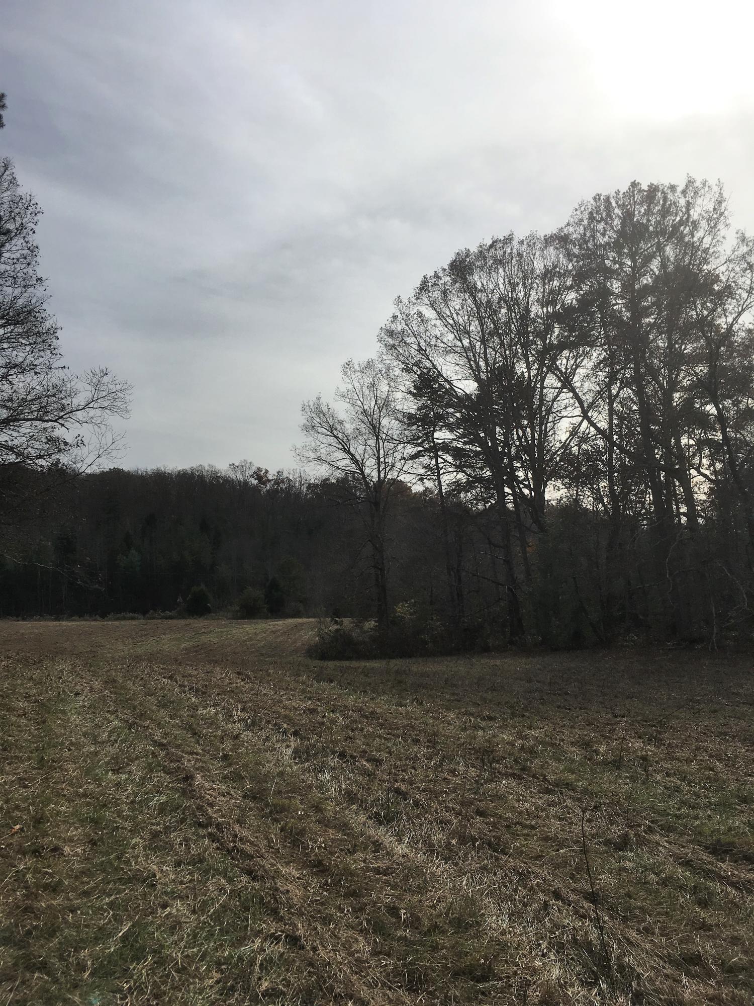 Walter Thomas Lane Oneida, TN 37841 - Photo 3 of 26 IMG_4097