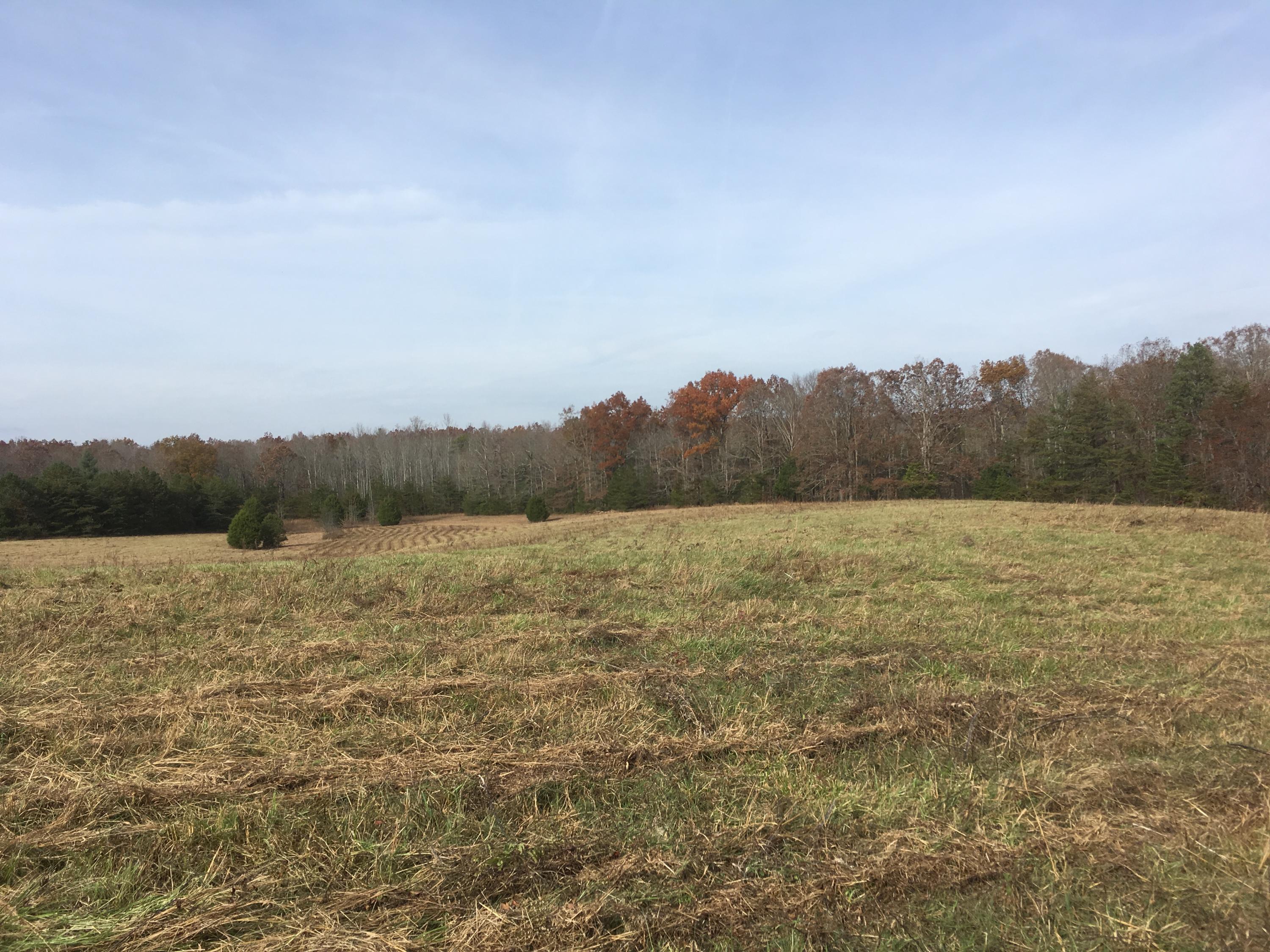 Walter Thomas Lane Oneida, TN 37841 - Photo 21 of 26 IMG_4118