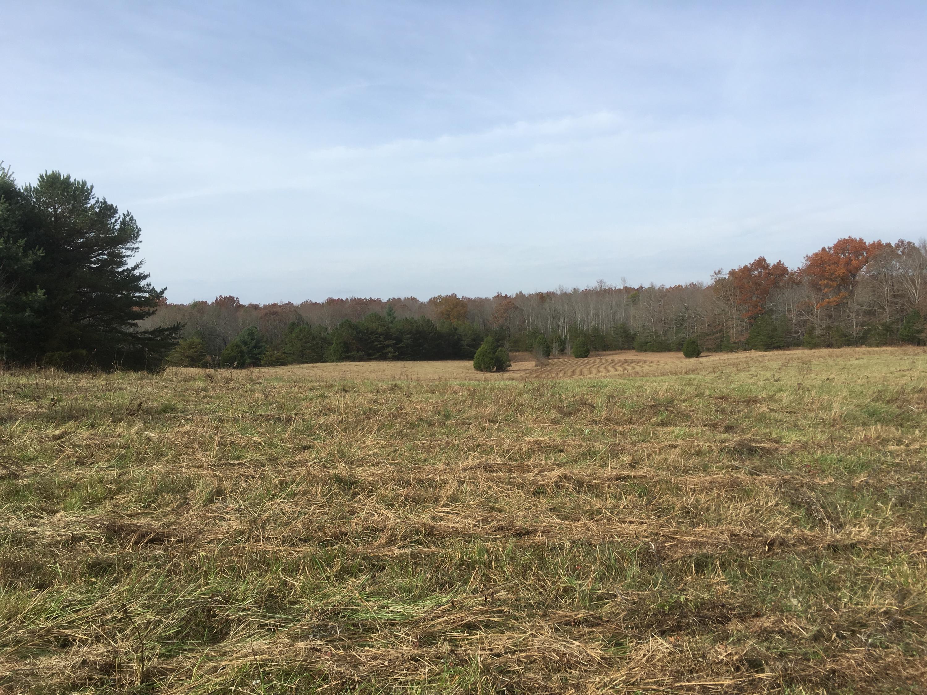 Walter Thomas Lane Oneida, TN 37841 - Photo 22 of 26 IMG_4119