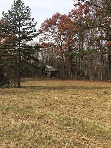 Walter Thomas Lane Oneida, TN 37841 - Photo 23 of 26 IMG_4127