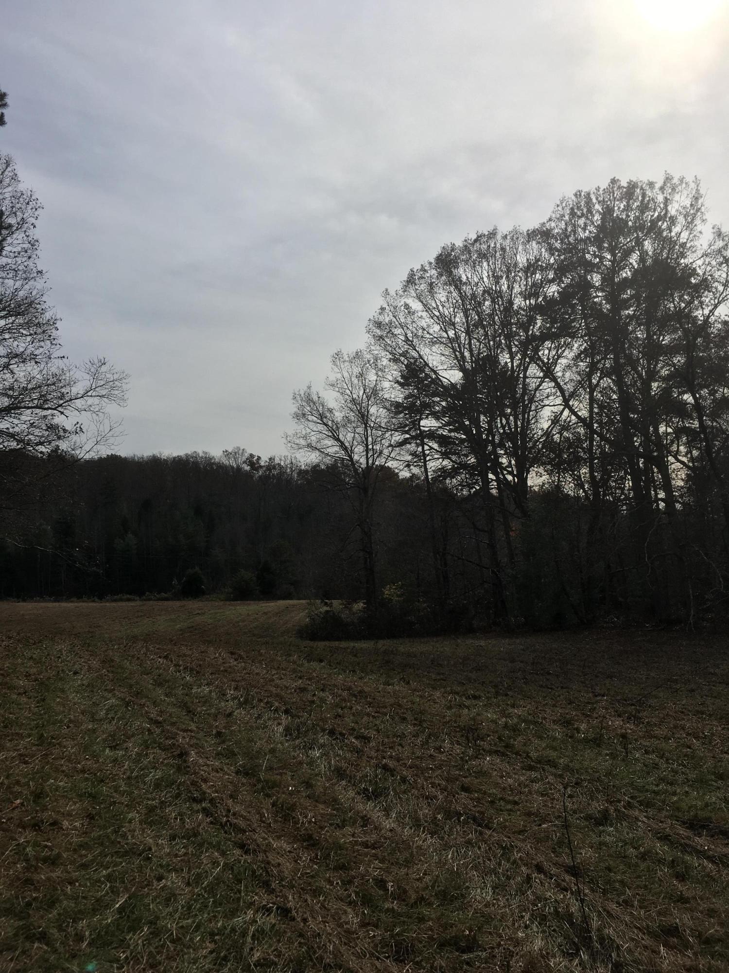 Walter Thomas Lane Oneida, TN 37841 - Photo 4 of 26 IMG_4098