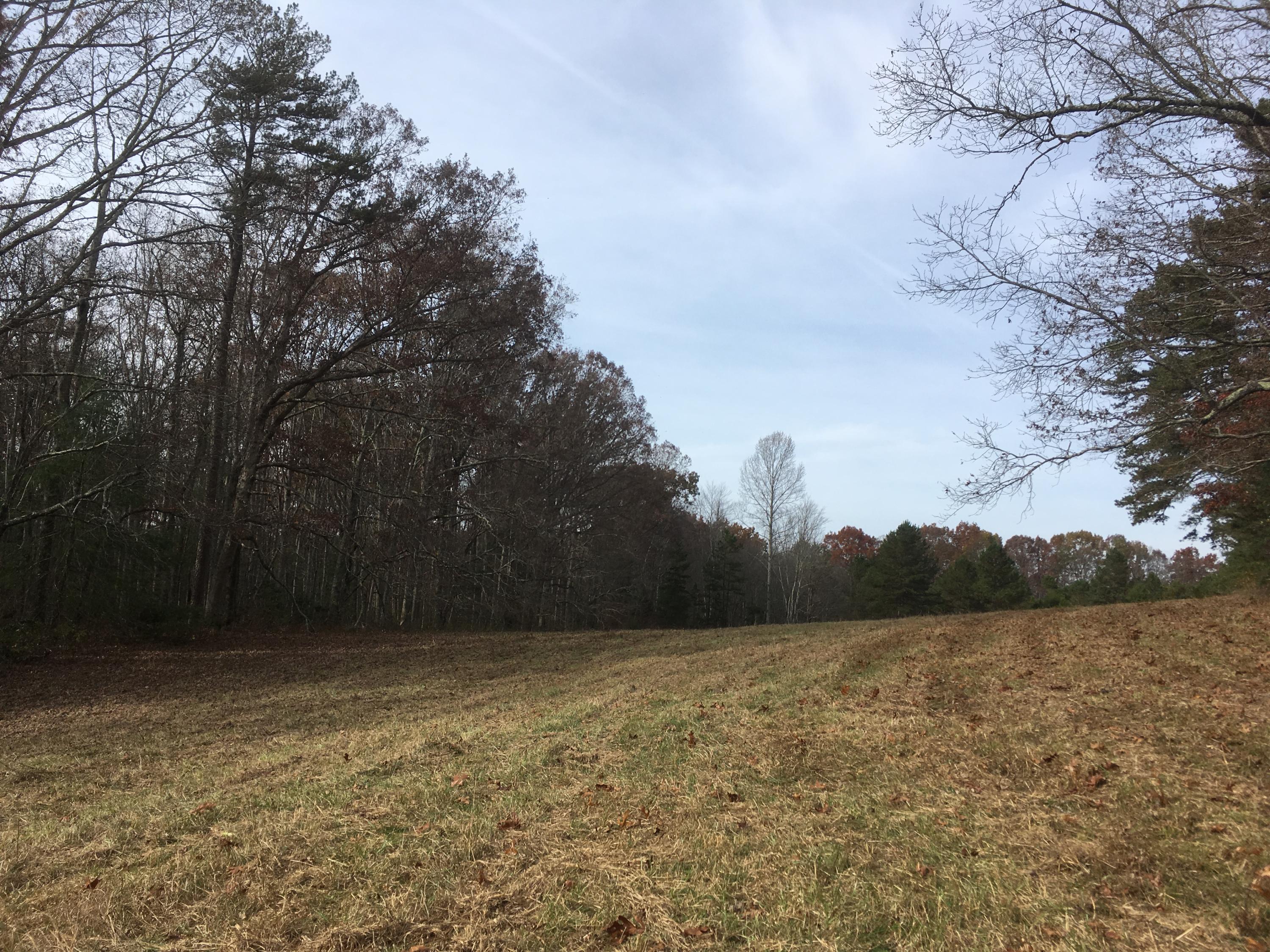 Walter Thomas Lane Oneida, TN 37841 - Photo 5 of 26 IMG_4099