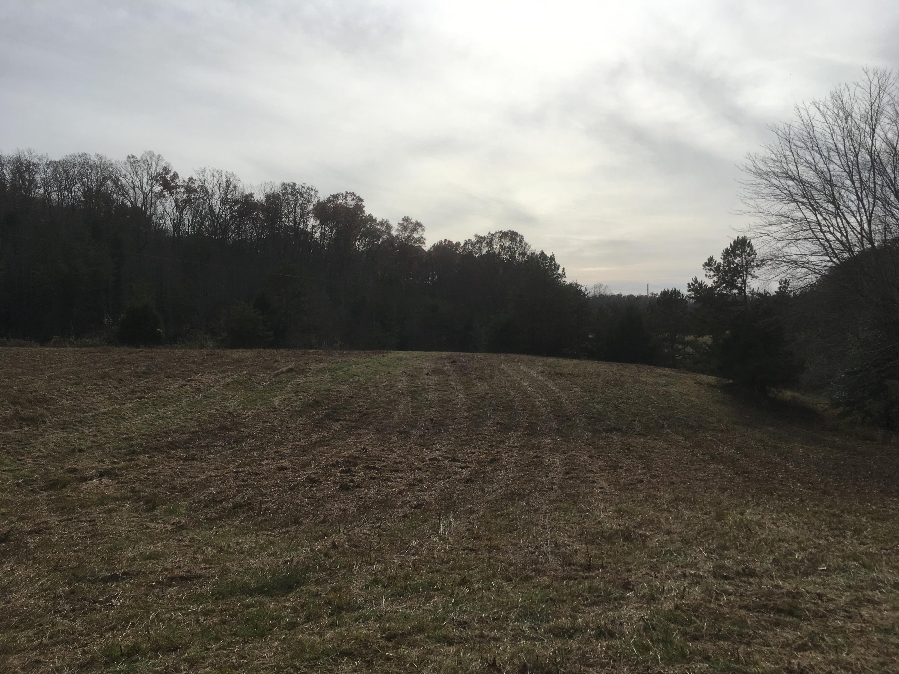 Walter Thomas Lane Oneida, TN 37841 - Photo 6 of 26 IMG_4100