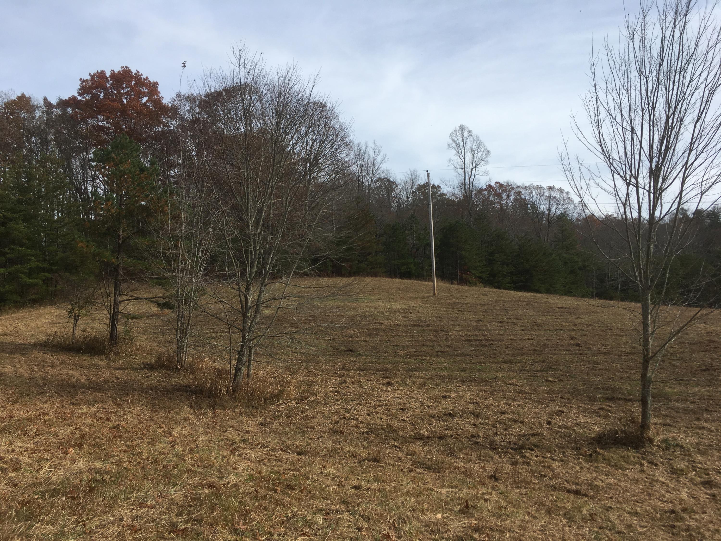 Walter Thomas Lane Oneida, TN 37841 - Photo 7 of 26 IMG_4101