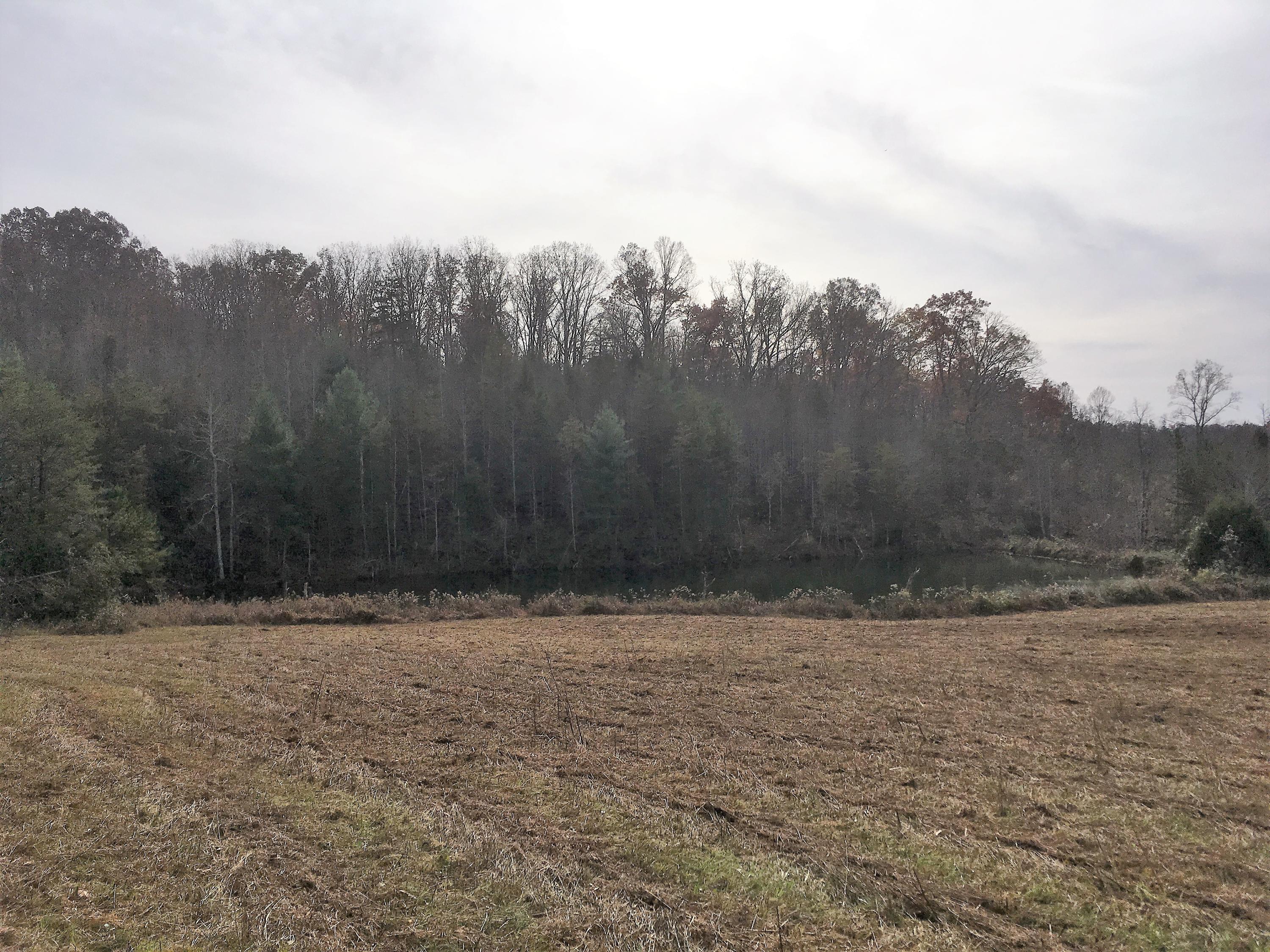 Walter Thomas Lane Oneida, TN 37841 - Photo 8 of 26 IMG_4102