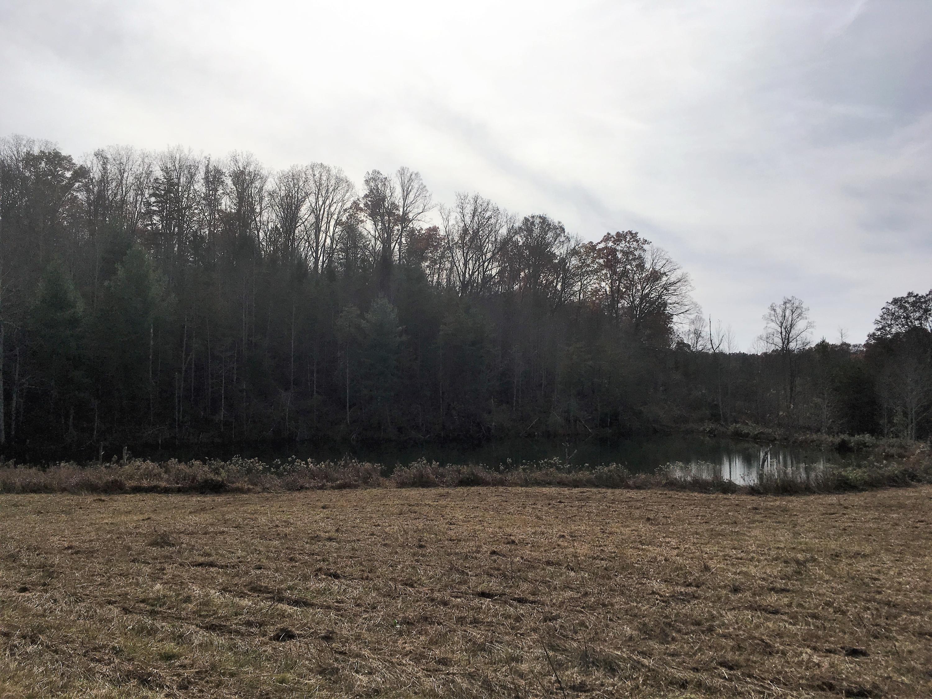 Walter Thomas Lane Oneida, TN 37841 - Photo 9 of 26 IMG_4103