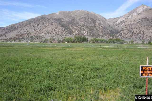 Wedertz Lower Colony Road, Unit LOWER COLONY RDS Wellington, NV 89444 - Photo 3 of 4 Photo 5