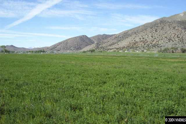 Wedertz Lower Colony Road, Unit LOWER COLONY RDS Wellington, NV 89444 - Photo 4 of 4 Photo 6
