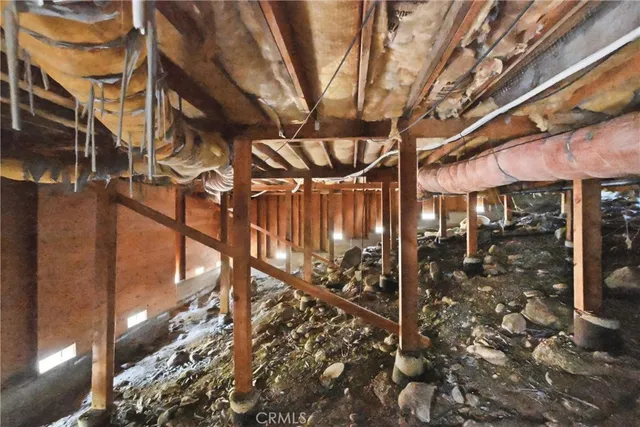 a view of a pathway with a tree