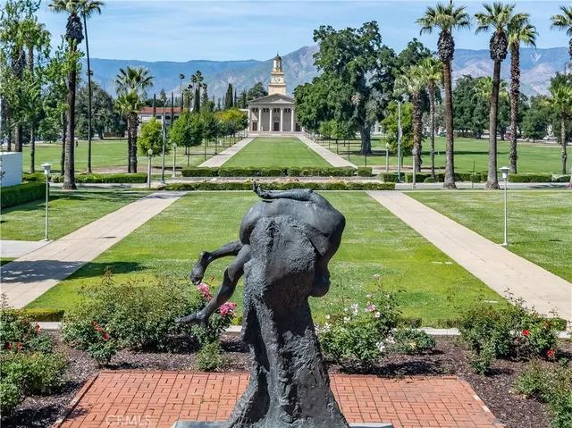 a view of a yard with palm trees