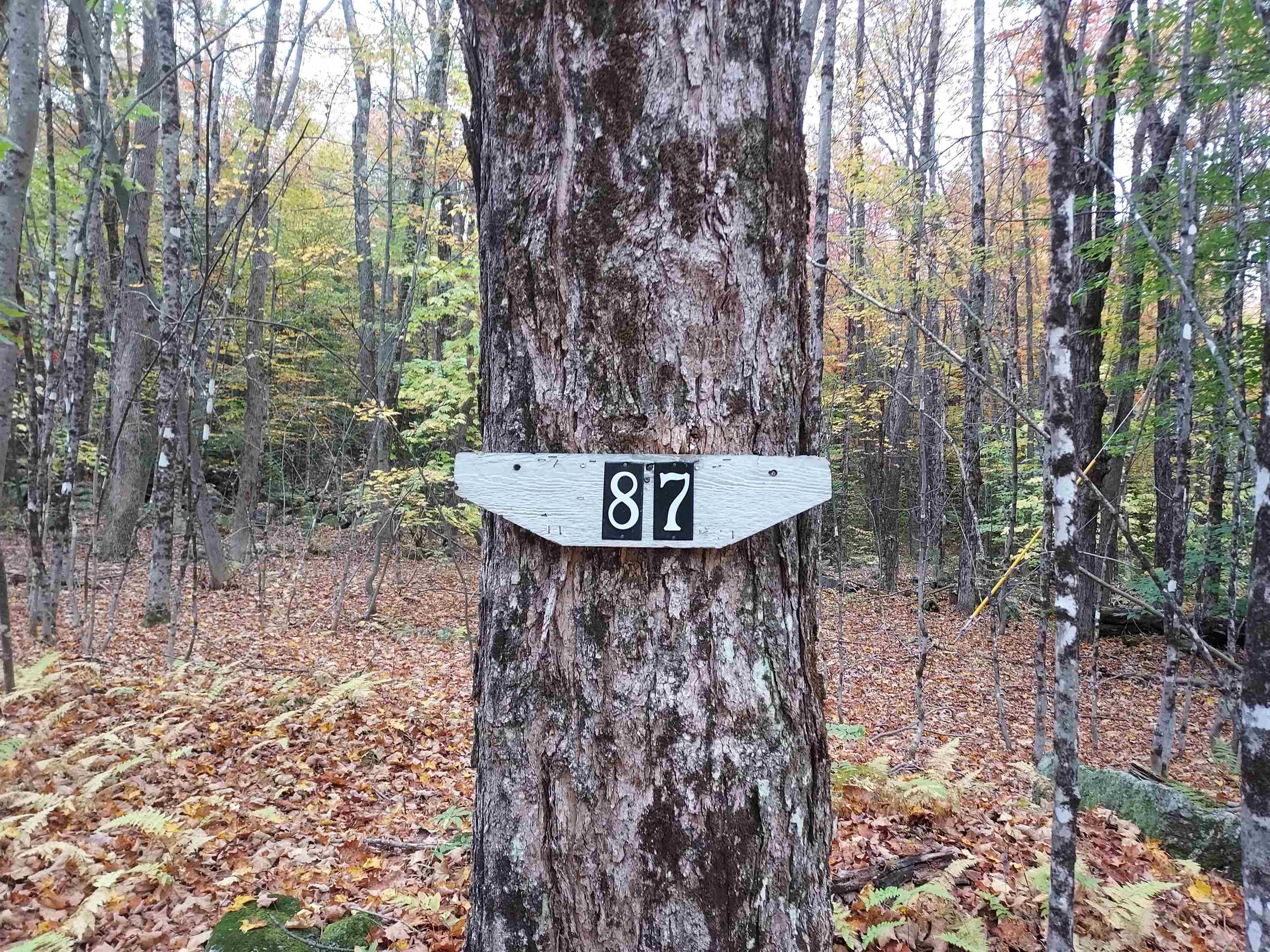 87 Long Pond Road Washington, NH 03280 - Photo 5 of 13 Gallery Image 5