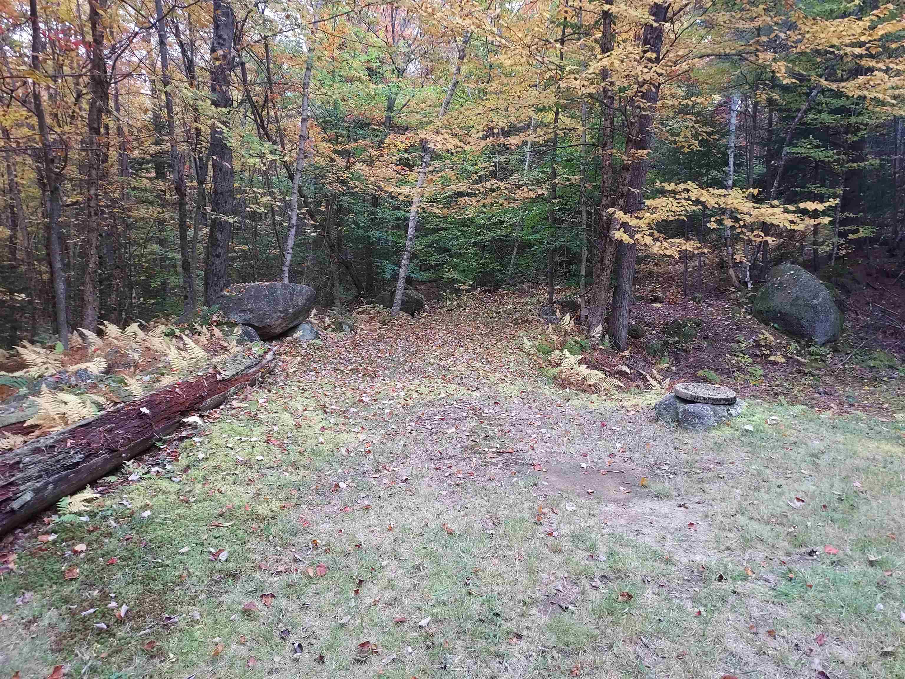 87 Long Pond Road Washington, NH 03280 - Photo 6 of 13 Gallery Image 6