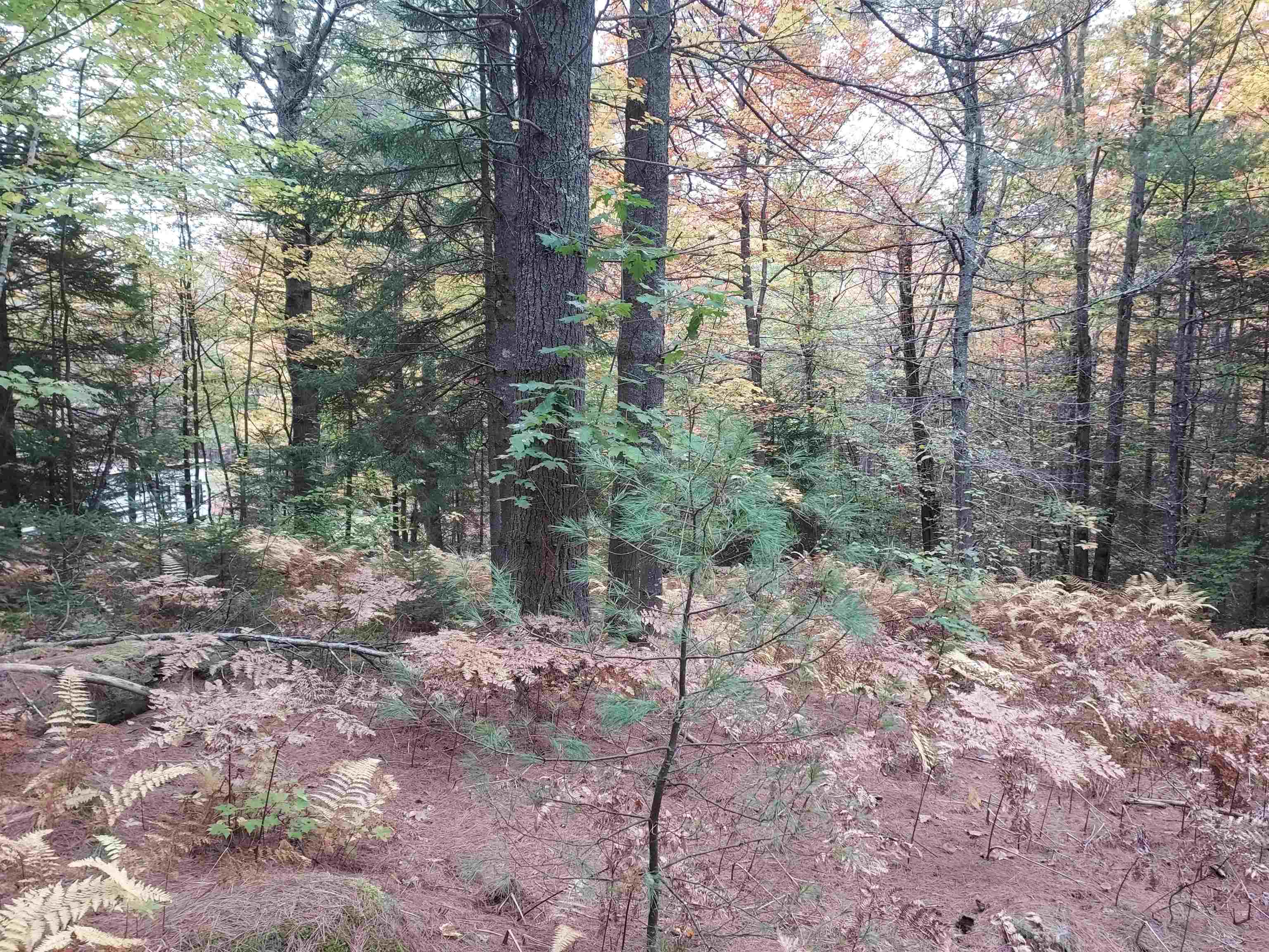 87 Long Pond Road Washington, NH 03280 - Photo 7 of 13 Gallery Image 7