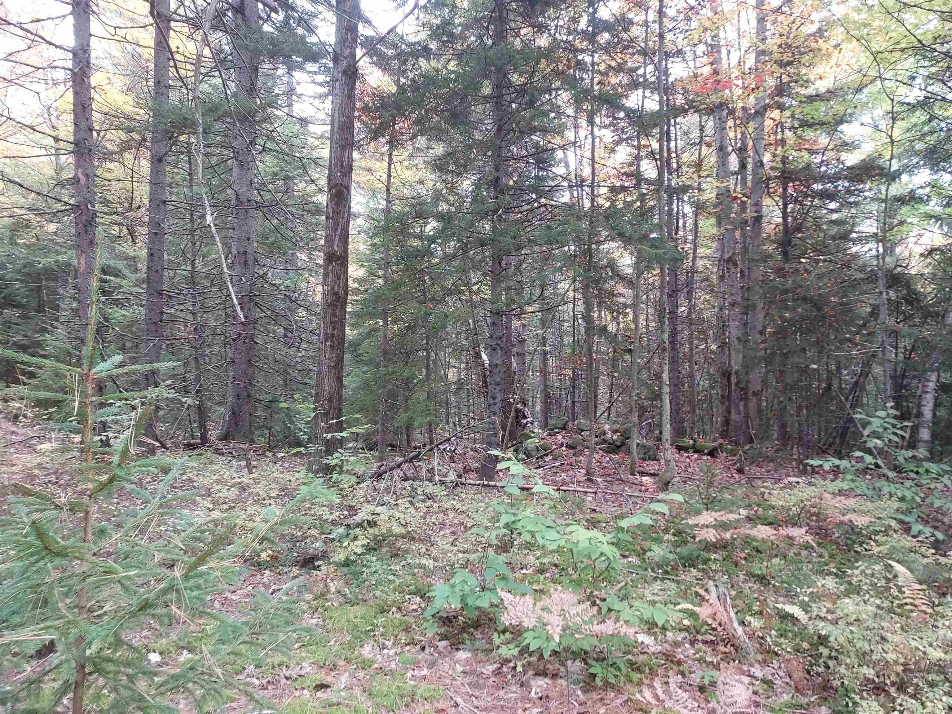 87 Long Pond Road Washington, NH 03280 - Photo 8 of 13 Gallery Image 8