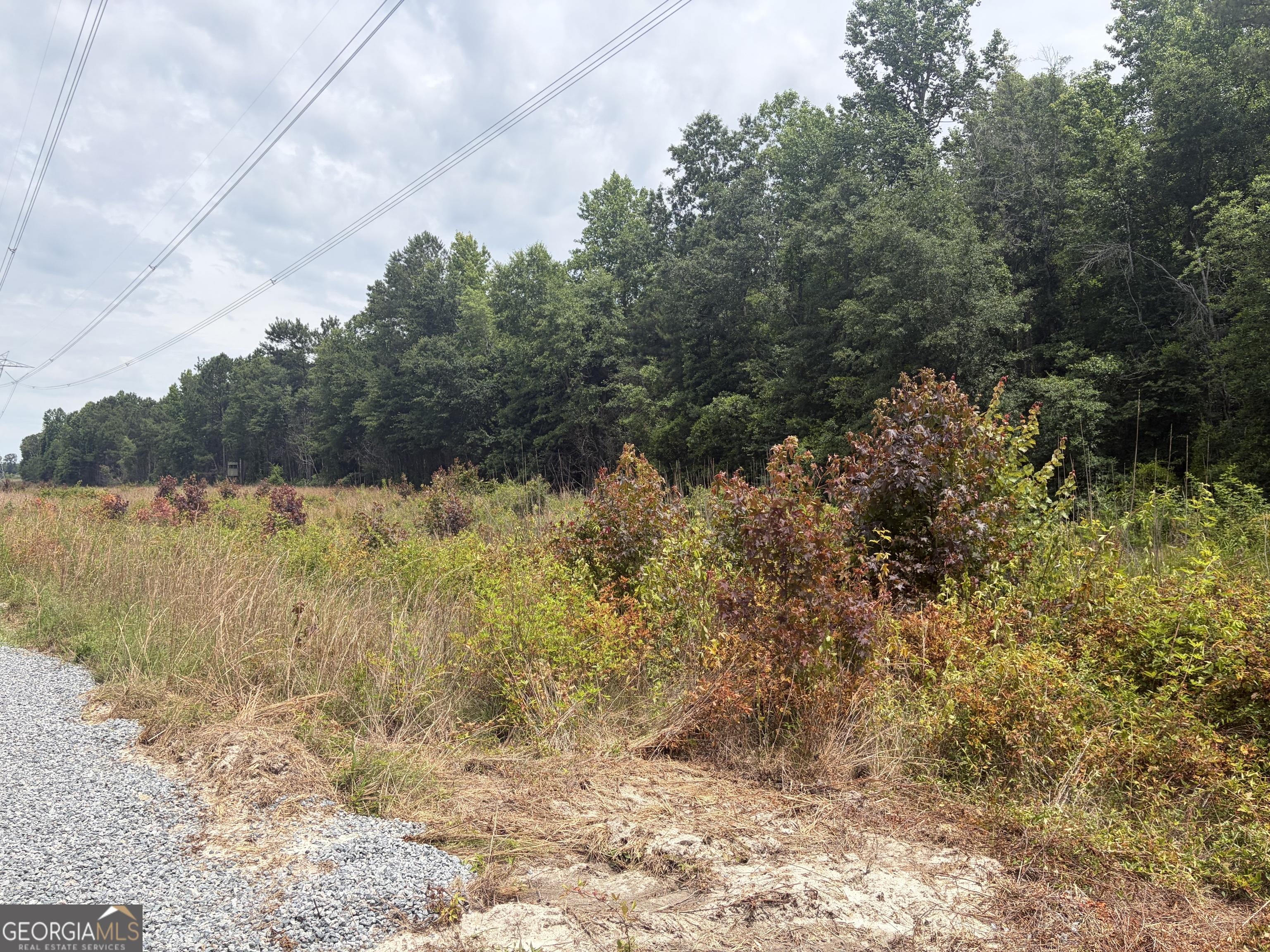 5 Sunhill Grange Road Sandersville, GA 31018 - Photo 6 of 8