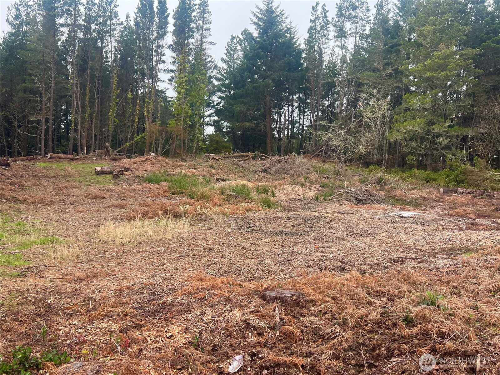 1301 178th Place Long Beach, WA 98631 - Photo 2 of 12