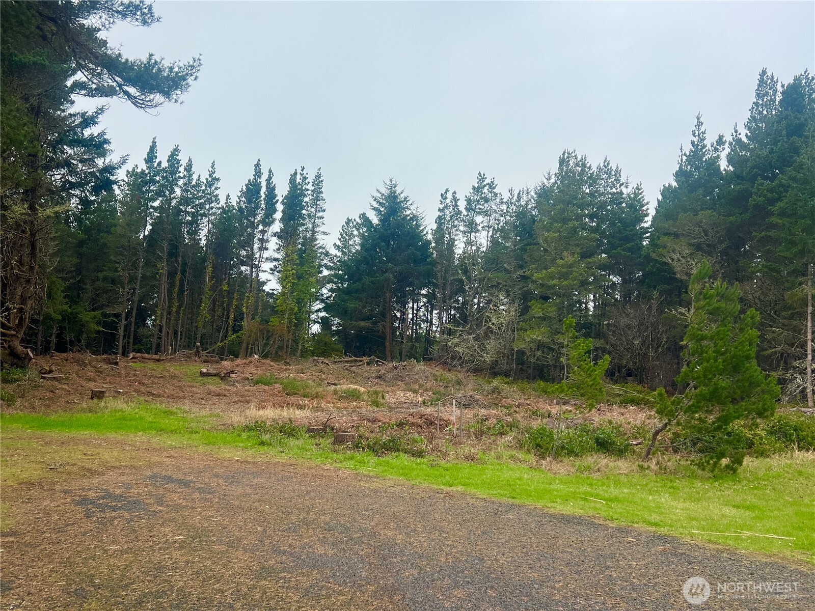 1301 178th Place Long Beach, WA 98631 - Photo 3 of 12