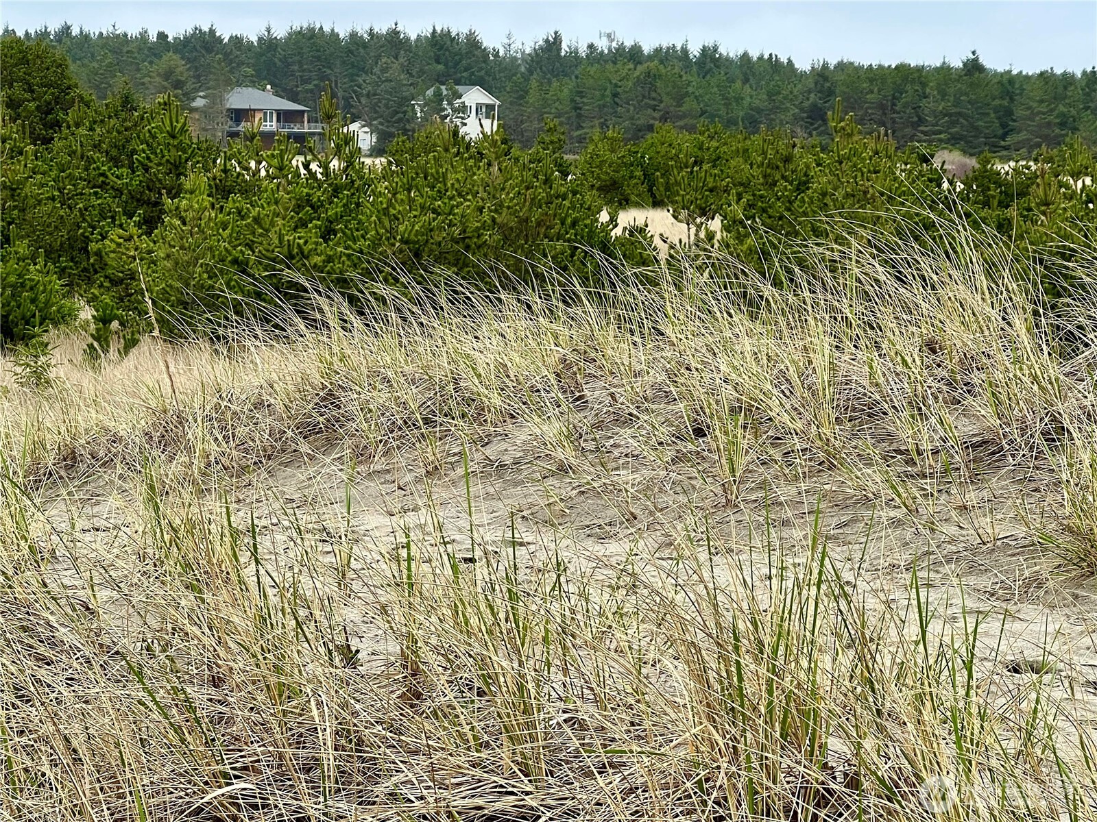 1301 178th Place Long Beach, WA 98631 - Photo 5 of 12