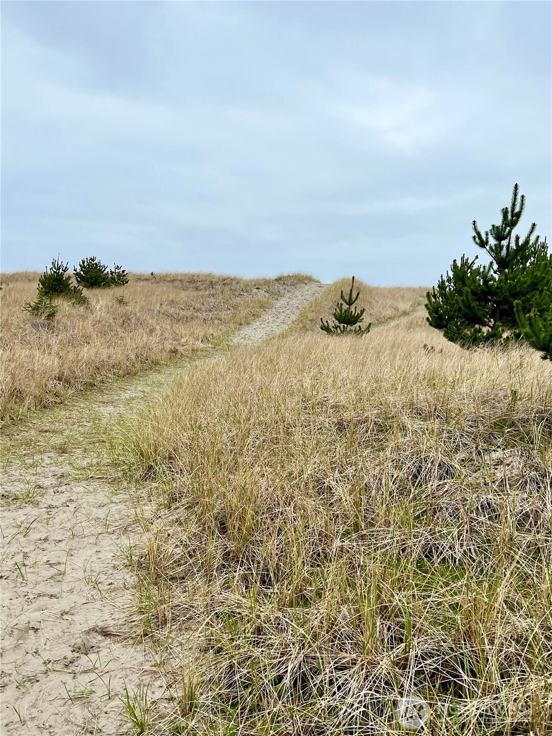 1301 178th Place Long Beach, WA 98631 - Photo 9 of 12