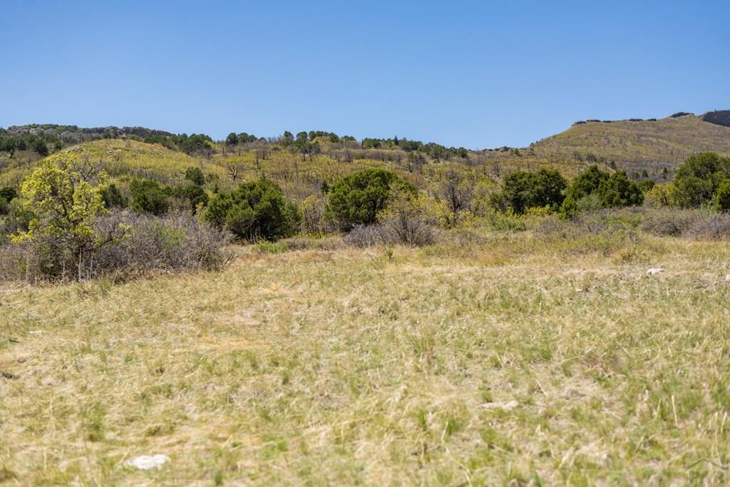 Lot 25 Majors Ranch Walsenburg, CO 81089 - Photo 3 of 34