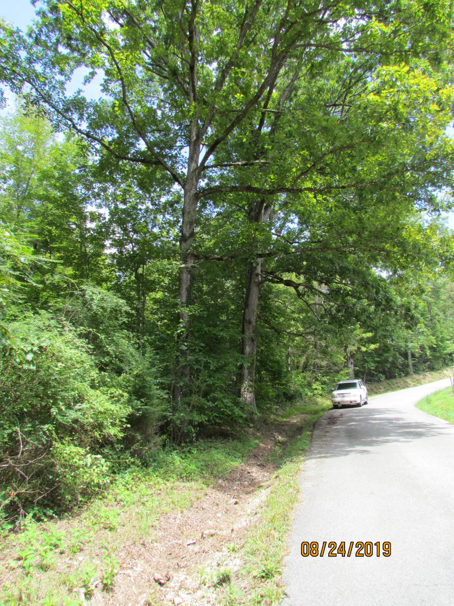 3 A Estes Road Loudon, TN 37774 - Photo 1 of 21 1