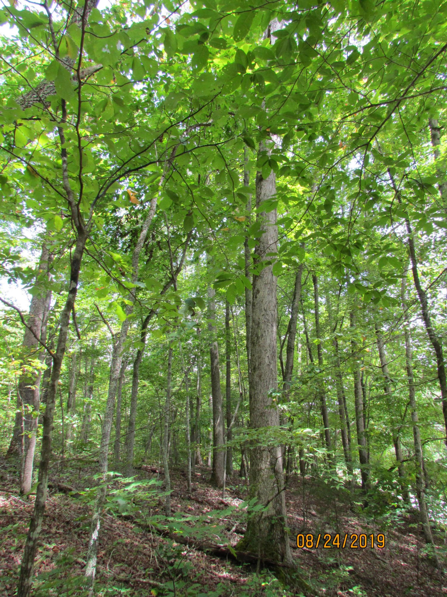 3 A Estes Road Loudon, TN 37774 - Photo 12 of 21 27