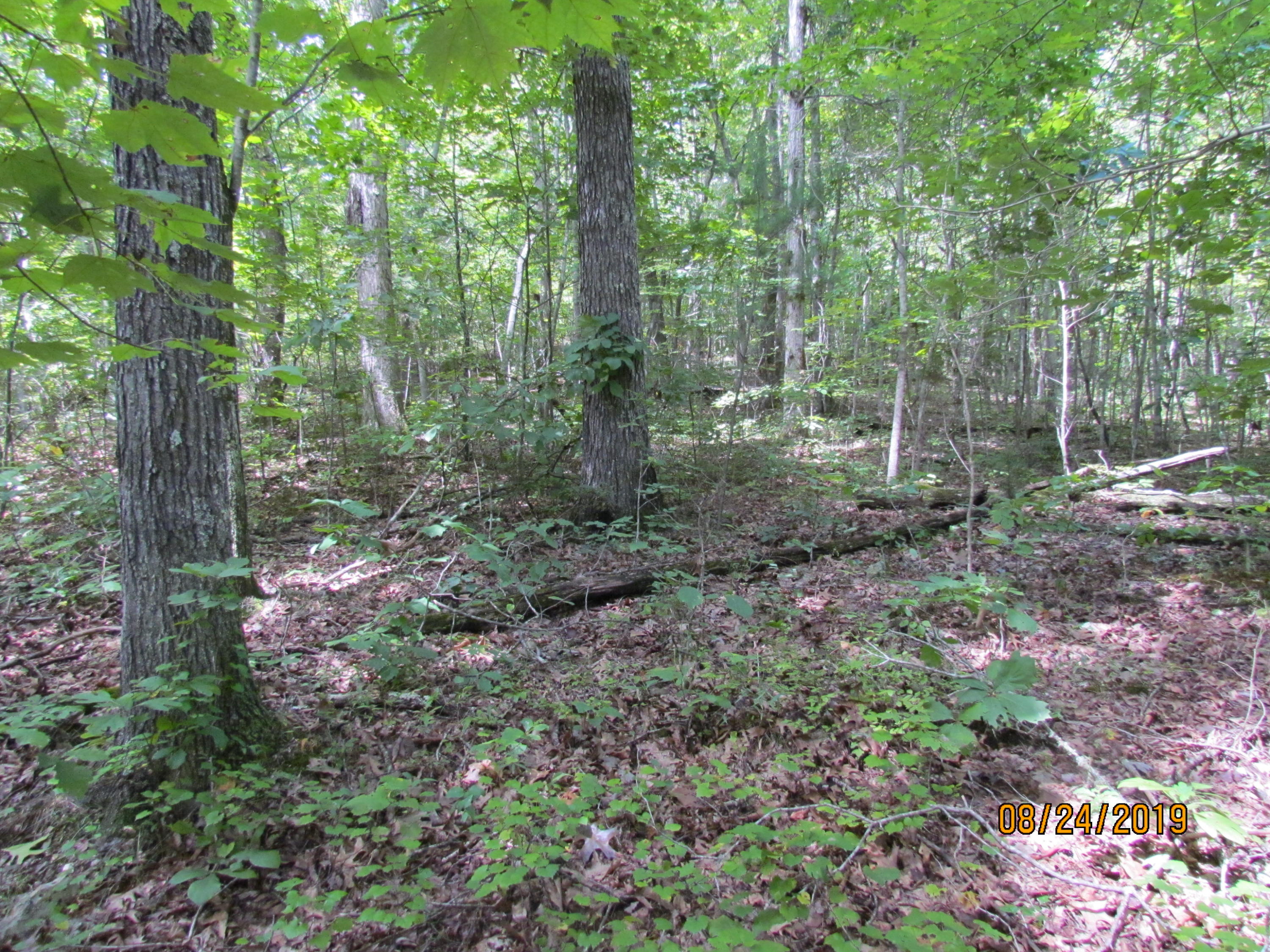 3 A Estes Road Loudon, TN 37774 - Photo 13 of 21 28