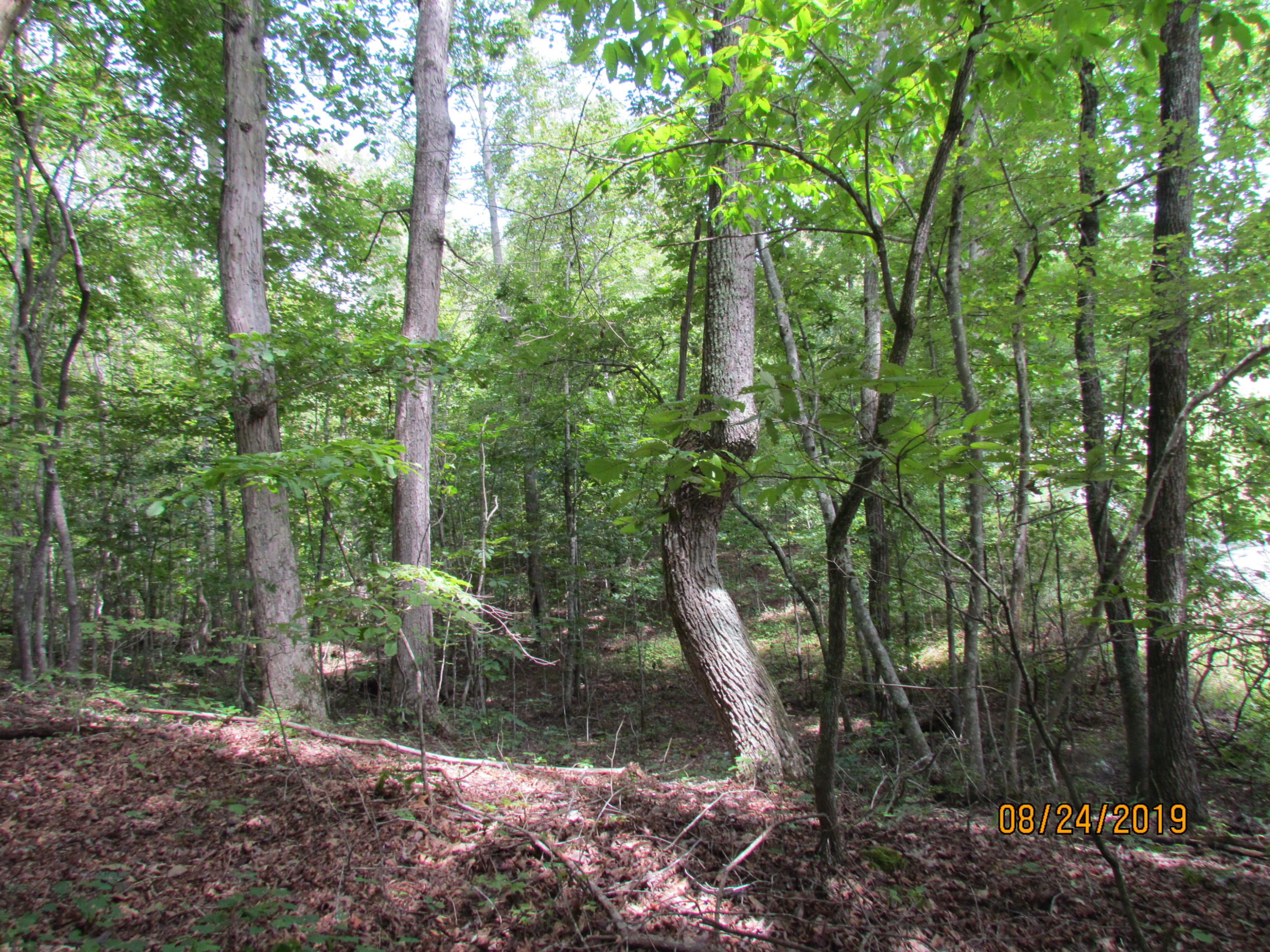 3 A Estes Road Loudon, TN 37774 - Photo 15 of 21 30