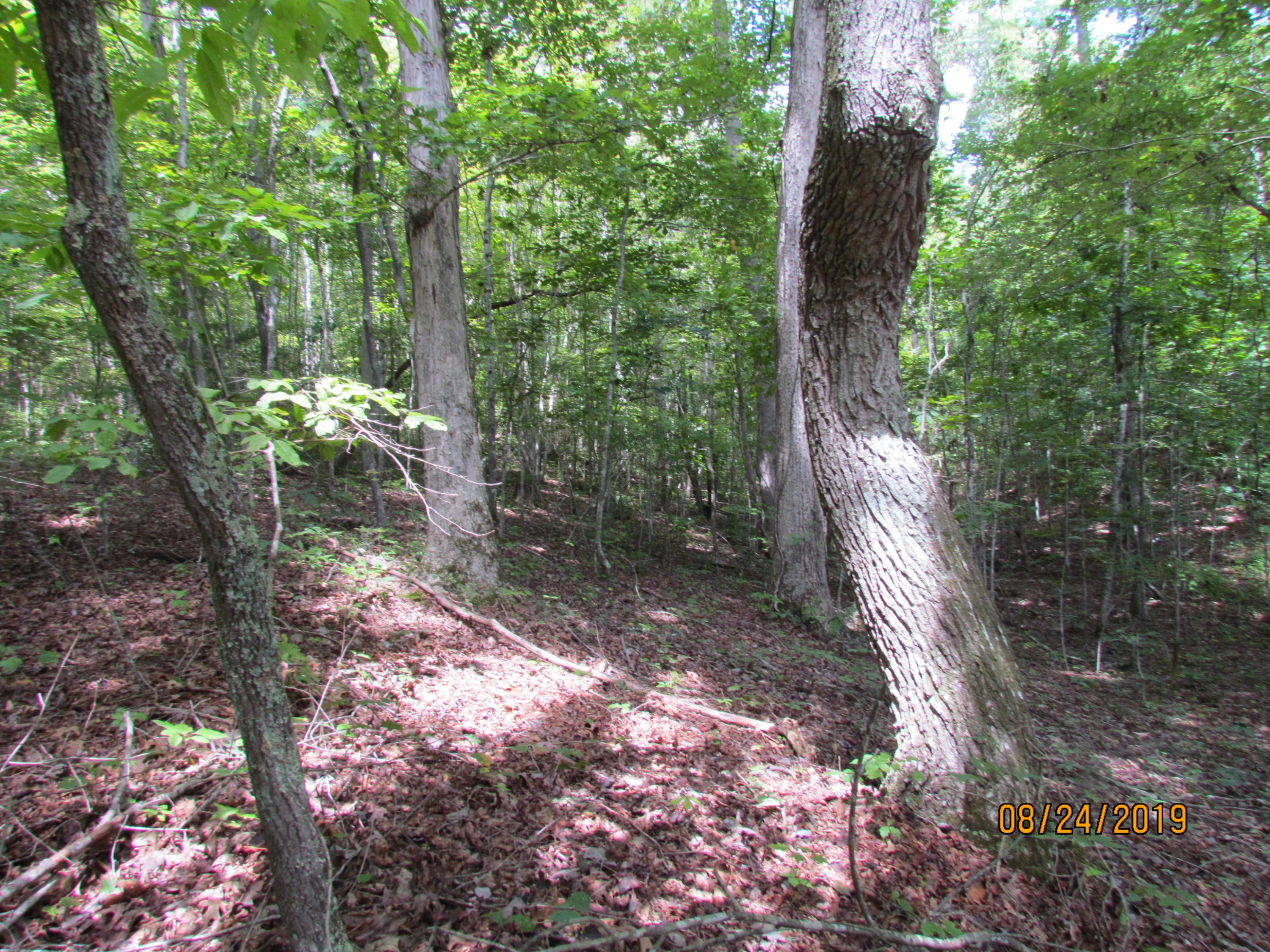 3 A Estes Road Loudon, TN 37774 - Photo 16 of 21 31